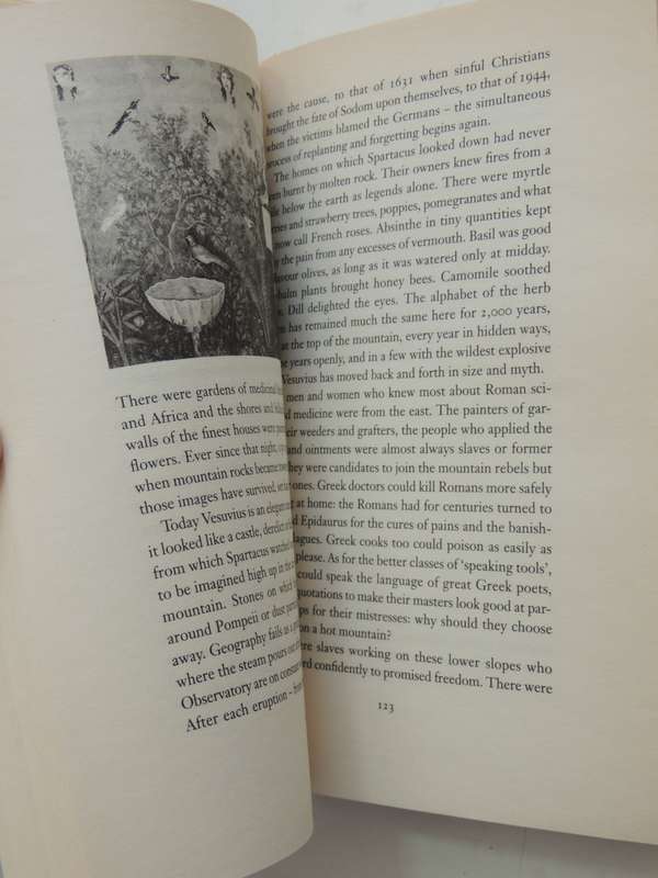On The Spartacus Road - A Spectacular Journey Through Ancient Italy - Peter Stothard