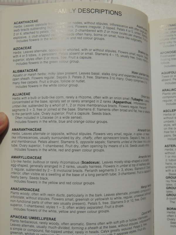 Field Guide To The Wild Flowers Of The Highveld - Braam Van Wyk & Sasa Malan