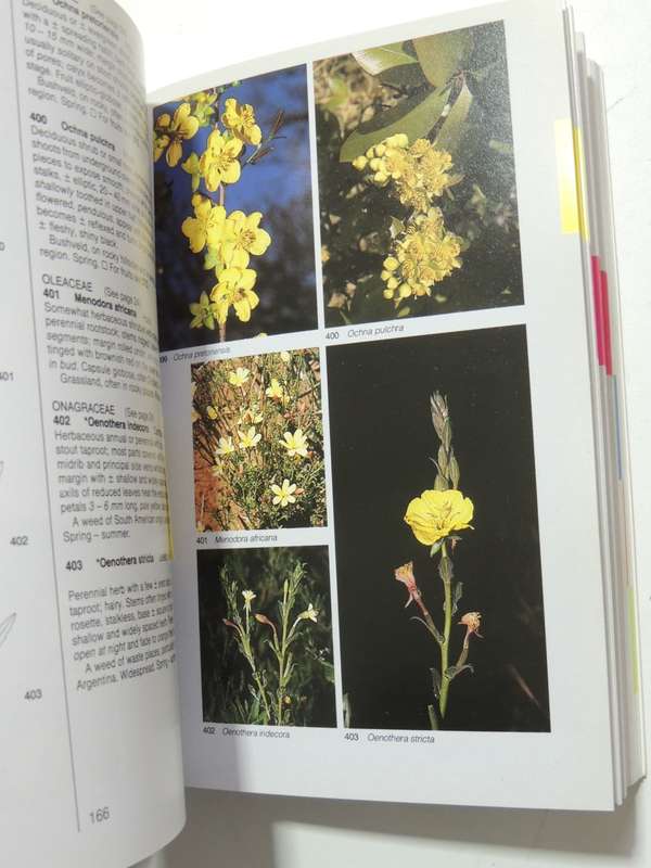 Field Guide To The Wild Flowers Of The Highveld - Braam Van Wyk & Sasa Malan
