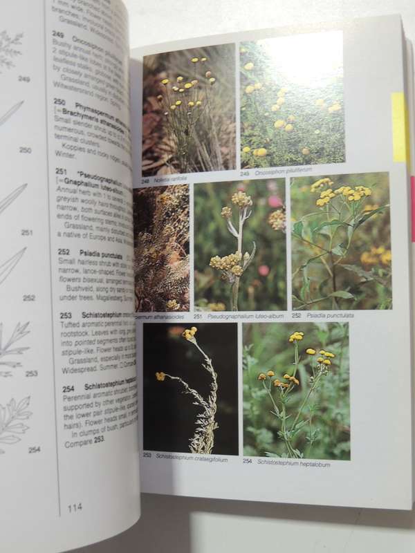 Field Guide To The Wild Flowers Of The Highveld - Braam Van Wyk & Sasa Malan