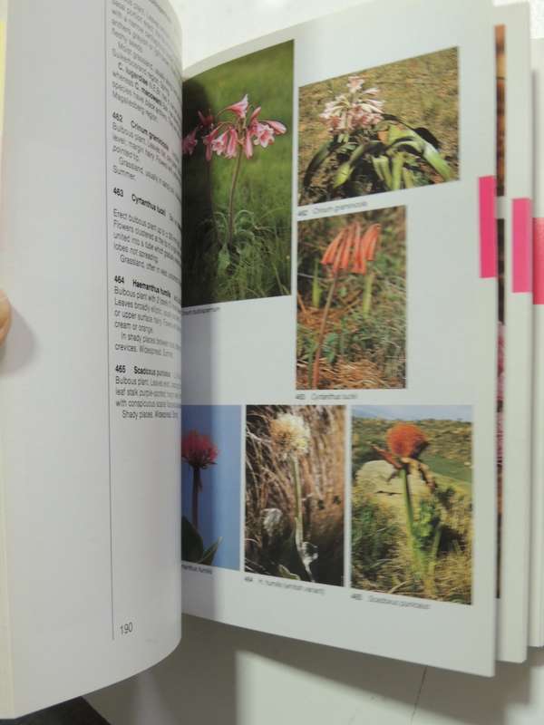Field Guide To The Wild Flowers Of The Highveld - Braam Van Wyk & Sasa Malan