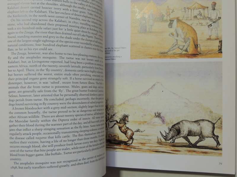Safari - A Chronicle Of Adventure  - Bartle Bull