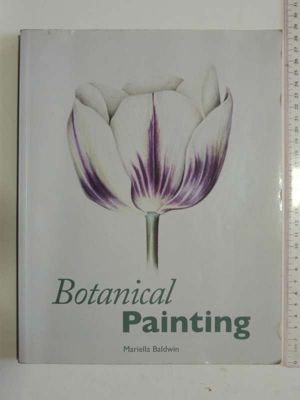 Botanical Painting - Mariella Baldwin