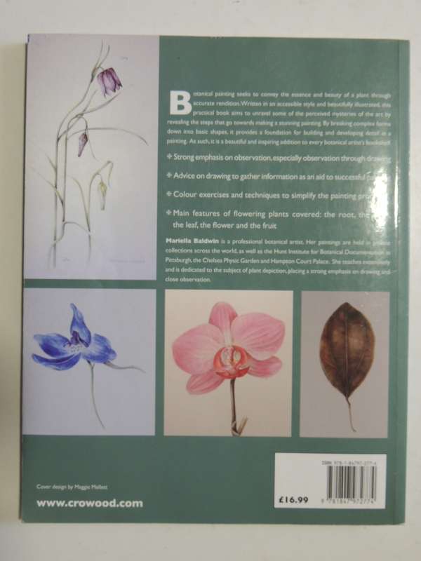 Botanical Painting - Mariella Baldwin