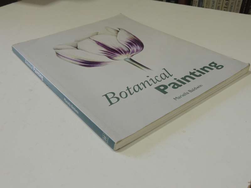 Botanical Painting - Mariella Baldwin