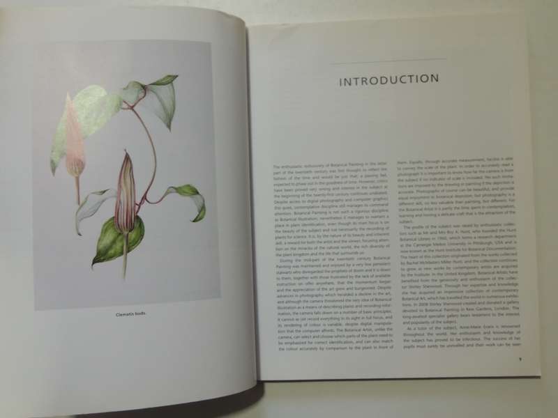 Botanical Painting - Mariella Baldwin