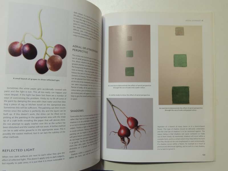 Botanical Painting - Mariella Baldwin