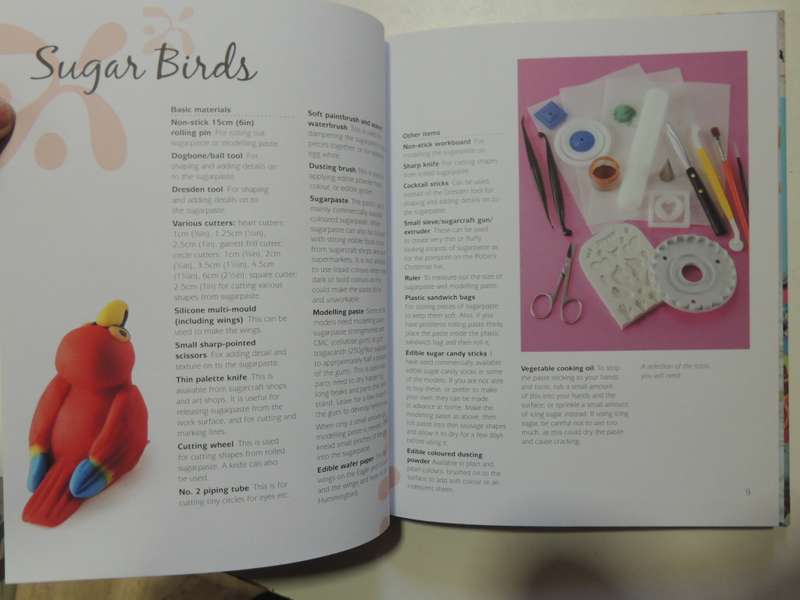 Sweet & Easy Sugar Decorations- Frances McNaughton