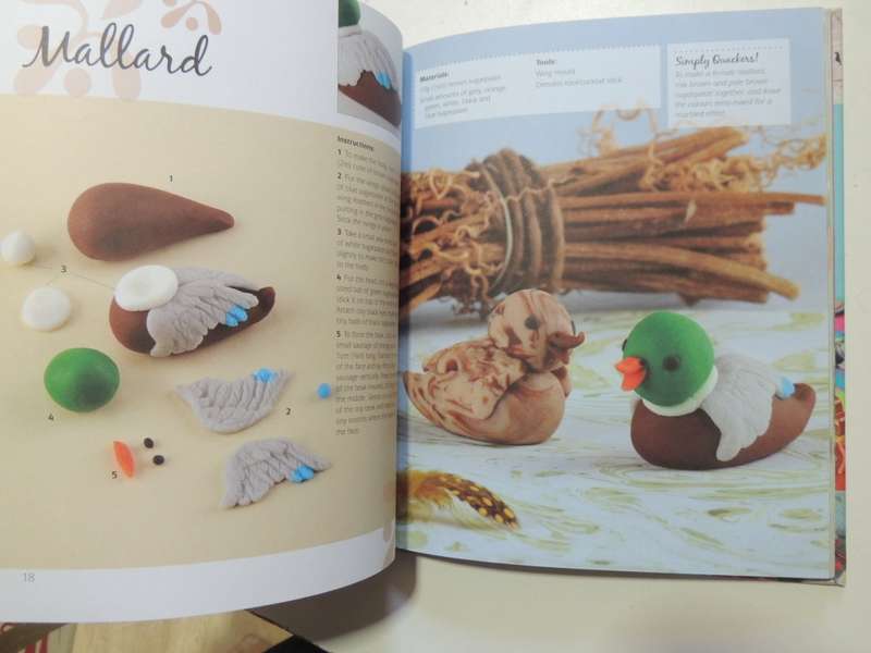 Sweet & Easy Sugar Decorations- Frances McNaughton