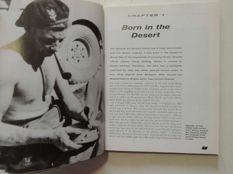 SAS Gulf Warriors - The Story Behind Bravo Two Zero - Steve Crawford