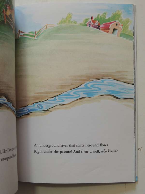 McElligot`s Pool- Dr. Seuss    BANNED