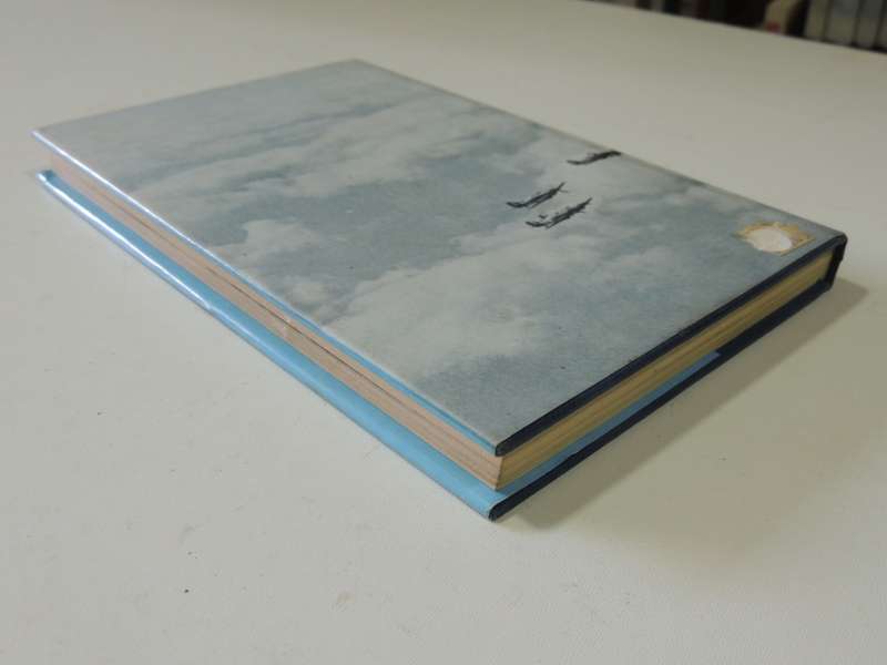 The Bader Wing - John Frayn Turner