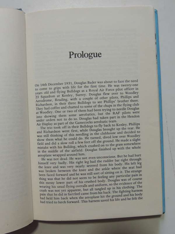 The Bader Wing - John Frayn Turner