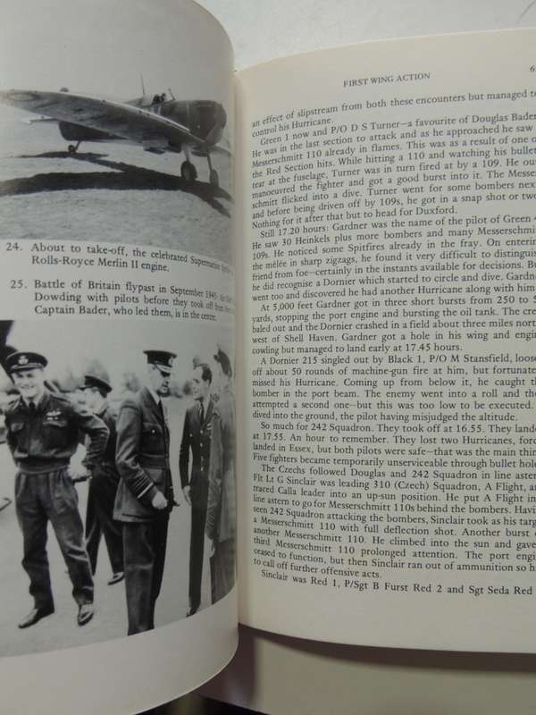 The Bader Wing - John Frayn Turner