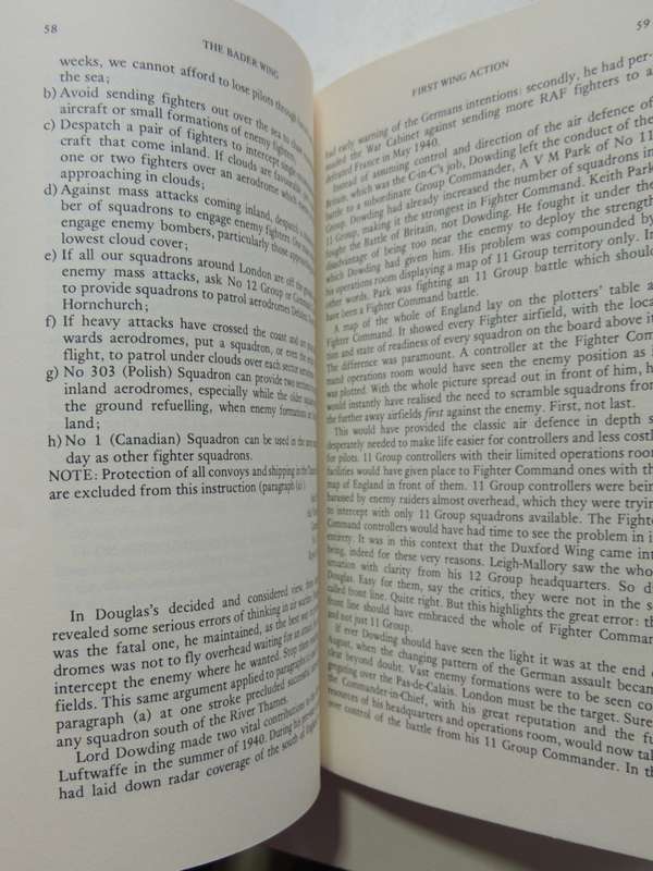 The Bader Wing - John Frayn Turner