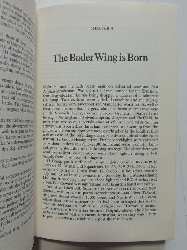 The Bader Wing - John Frayn Turner