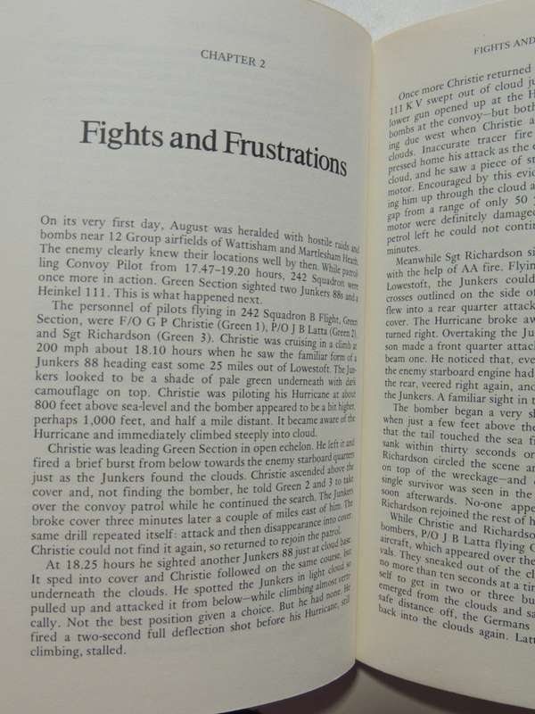 The Bader Wing - John Frayn Turner