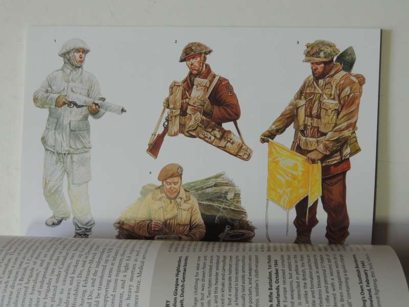 Osprey Elite Series: Victory 1945: Western Allied Troops In Northwest Europe Gordon L Rottman