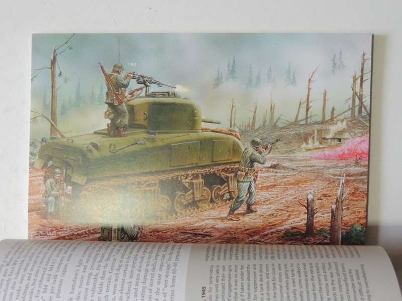 Osprey Elite Series: Victory 1945: Western Allied Troops In Northwest Europe Gordon L Rottman