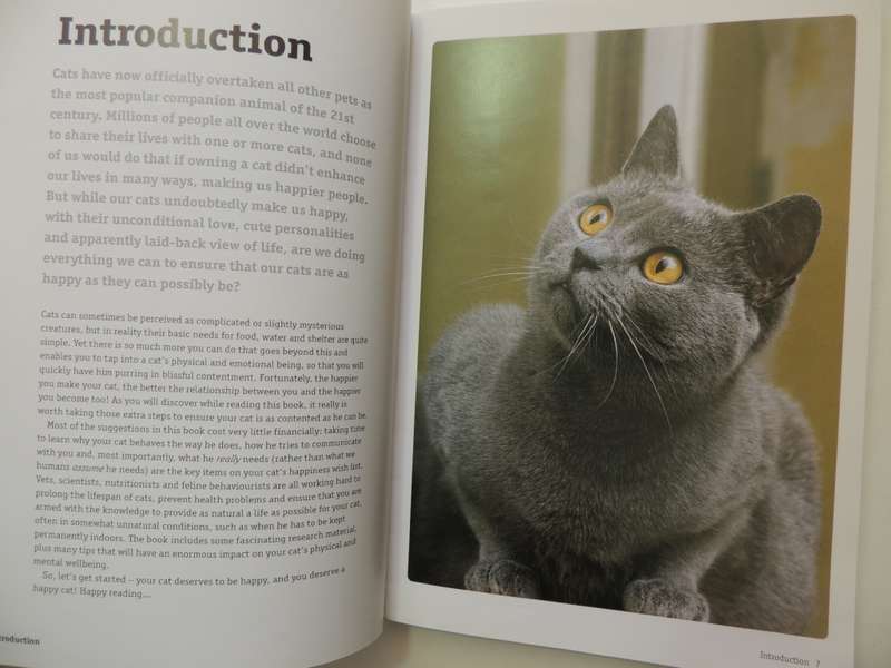 How to Have a Happy Cat- Andrea McHugh