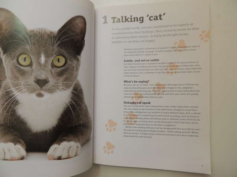 How to Have a Happy Cat- Andrea McHugh