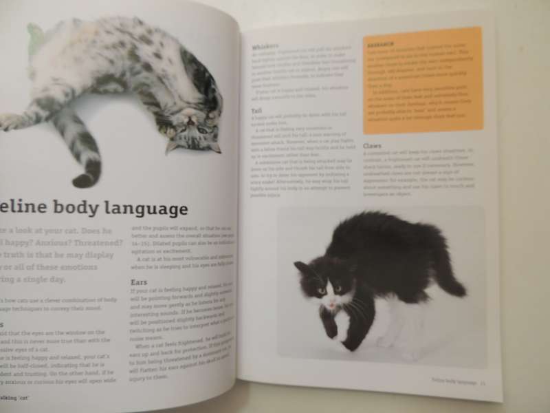 How to Have a Happy Cat- Andrea McHugh