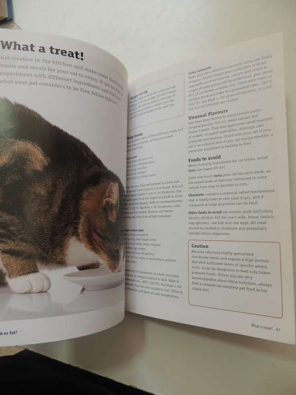 How to Have a Happy Cat- Andrea McHugh
