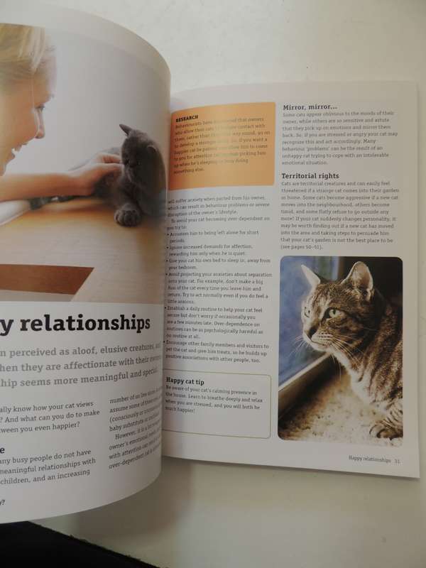 How to Have a Happy Cat- Andrea McHugh