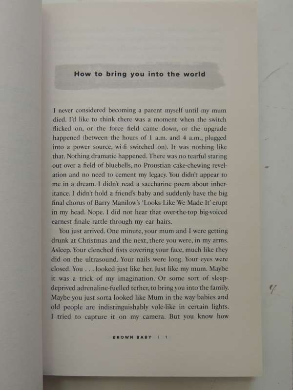 Brown Baby - A Memoir Of Race, Family And Home - Nikesh Shukla
