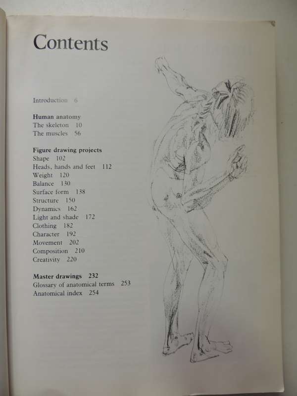 Figure Drawing And Anatomy For The Artist - John Raynes