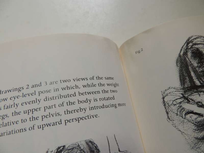 Figure Drawing And Anatomy For The Artist - John Raynes