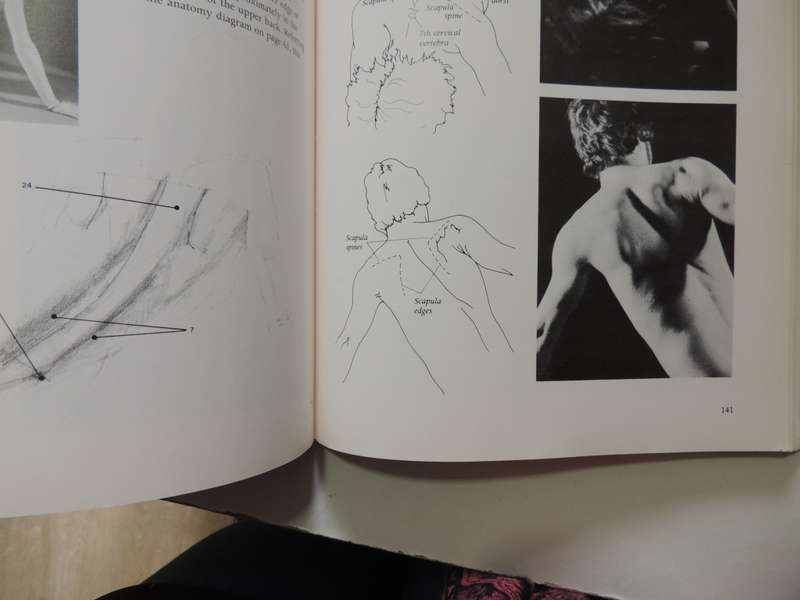 Figure Drawing And Anatomy For The Artist - John Raynes