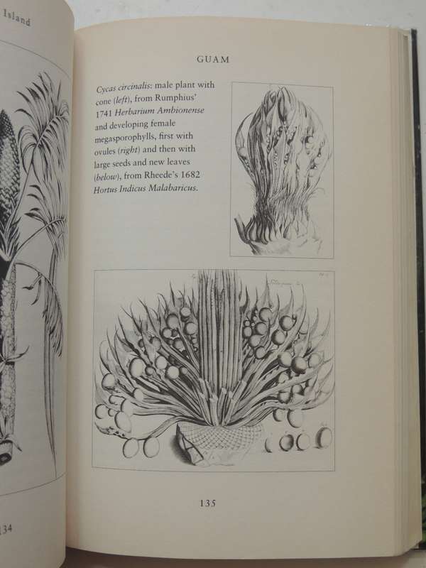 The Island of the Colour-Blind - Oliver Sacks