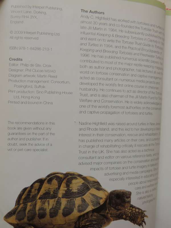 Keeping A Pet Tortoise - Andrew & Nadine Highfield
