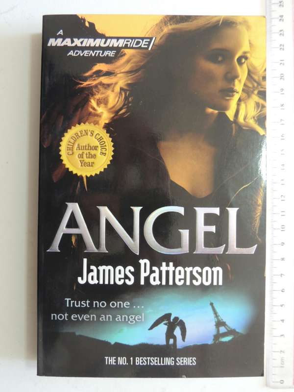 Angel - A Maximumride Adventure - James Patterson