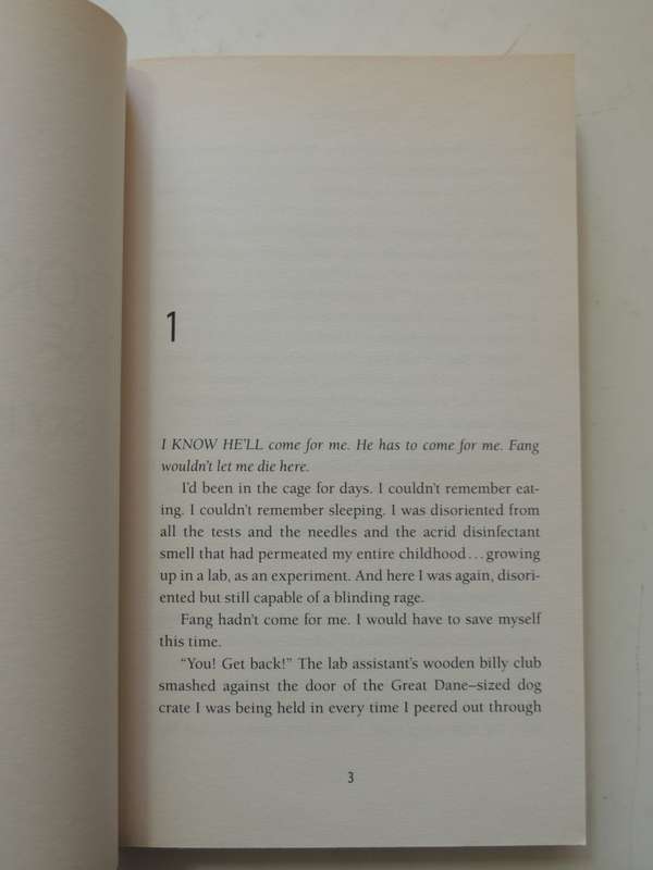 Angel - A Maximumride Adventure - James Patterson