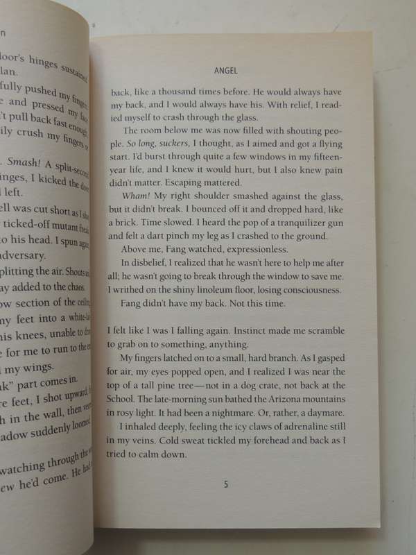 Angel - A Maximumride Adventure - James Patterson