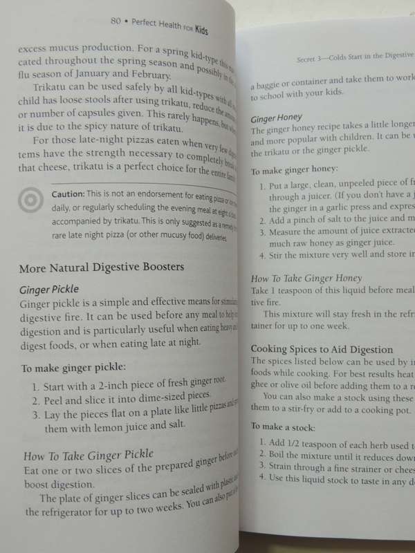 Perfect Health for Kids - 10 Ayurvedic Health Secrets Every Parent Must Know  - John Douillard