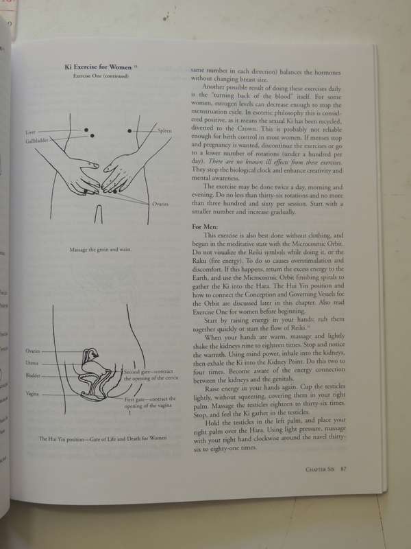 Essential Reiki, A Complete Guide to an Ancient Healing Art - Diane Stein