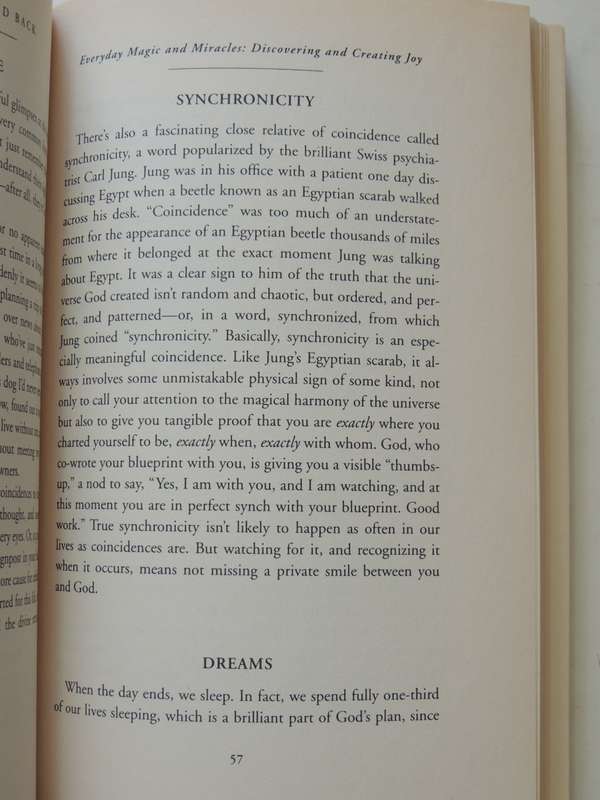 The Other Side and Back, A Psychic's Guide to our World and Beyond - Sylvia Browne