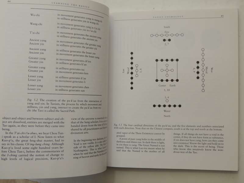 Feng Shui, Step by Step Instructions / Assessing, Choosing & Designing Sites, Buildings...- Eva Wong