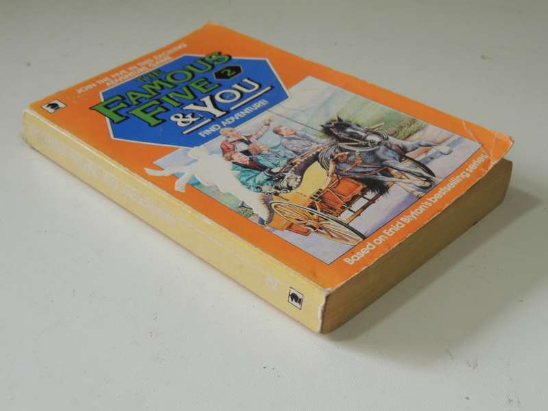 The Famous Five & You 2 - Adapted By Mary Tanby