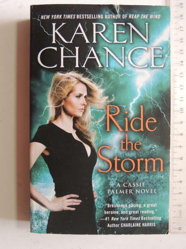 Ride The Storm- Karen Chance
