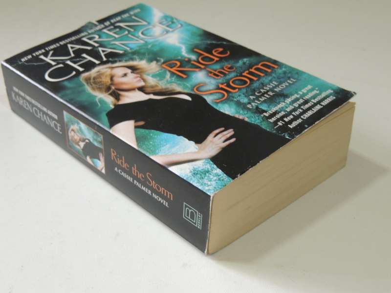 Ride The Storm- Karen Chance