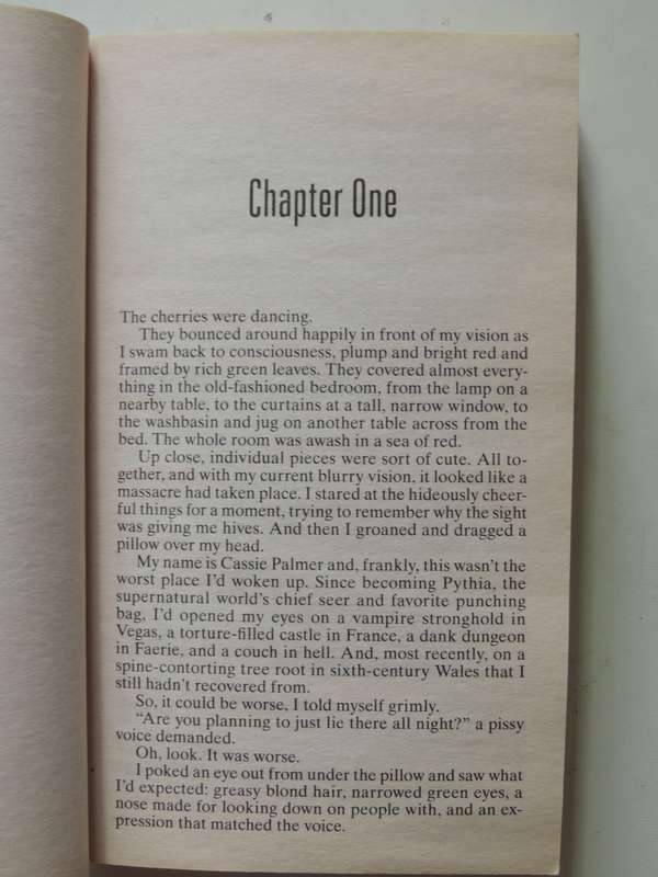 Ride The Storm- Karen Chance