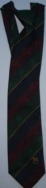 SA Rugby Springbok Red-Green-Blue Striped Tie