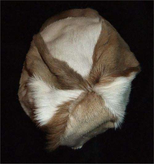 kep cap hat hoet hoed brilliant stunning winter summer autumn spring bush jok jock joke prank gag father's day dad father oom oupa grandpa grandfather pa papa leather genuine authentic real cool jacked up jack jacket hide pels skin blesbok horn horns head stuff stuffed