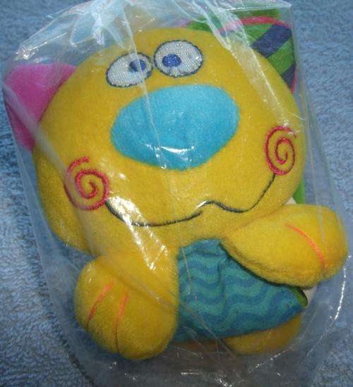 Small Colourful Adorable Fluffy Cat