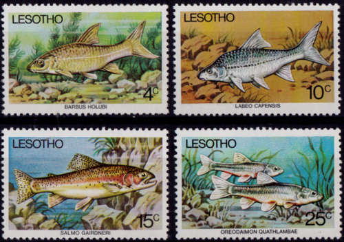 LESOTHO 1977, 28 Sept. FISH, set, MNH, CV +/-R 63.00 view scans