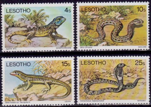 LESOTHO 1979, 1 June. Reptiles, set, MNH, CV +/-R 28.00 view scans